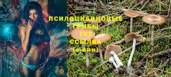 а пвп мука Бугульма