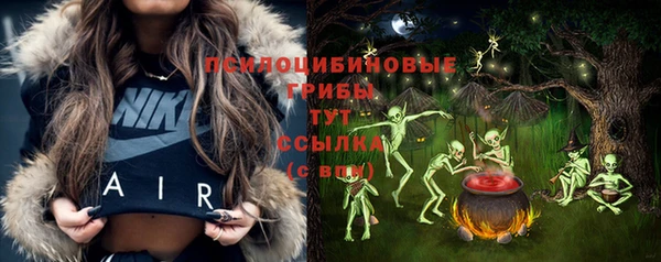винт Аркадак