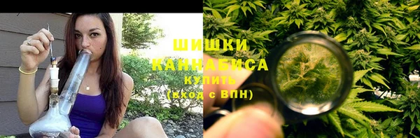 ешки Бронницы