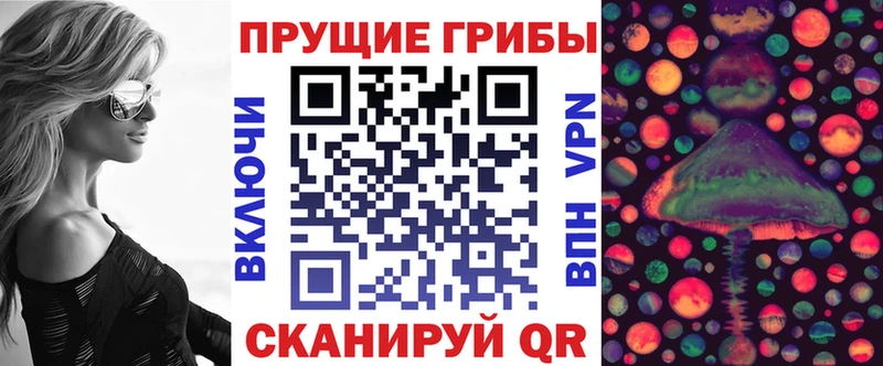 Псилоцибиновые грибы Cubensis  Любань 